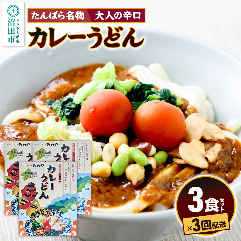 《定期便3回》みのや 大人の辛口カレーうどん 3食セット