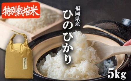 ひのひかり 特別栽培米 特A 福岡県産 白米 ひのひかり【5kg】