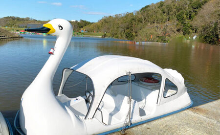 東京ドイツ村 入園チケット 1枚+アトラクション1dayパスポート 1名様｜旅行 観光 あそぶ 立ち寄り スポット デーマパーク レジャー チケット 見どころ アクアライン 房総 千葉 [0553]