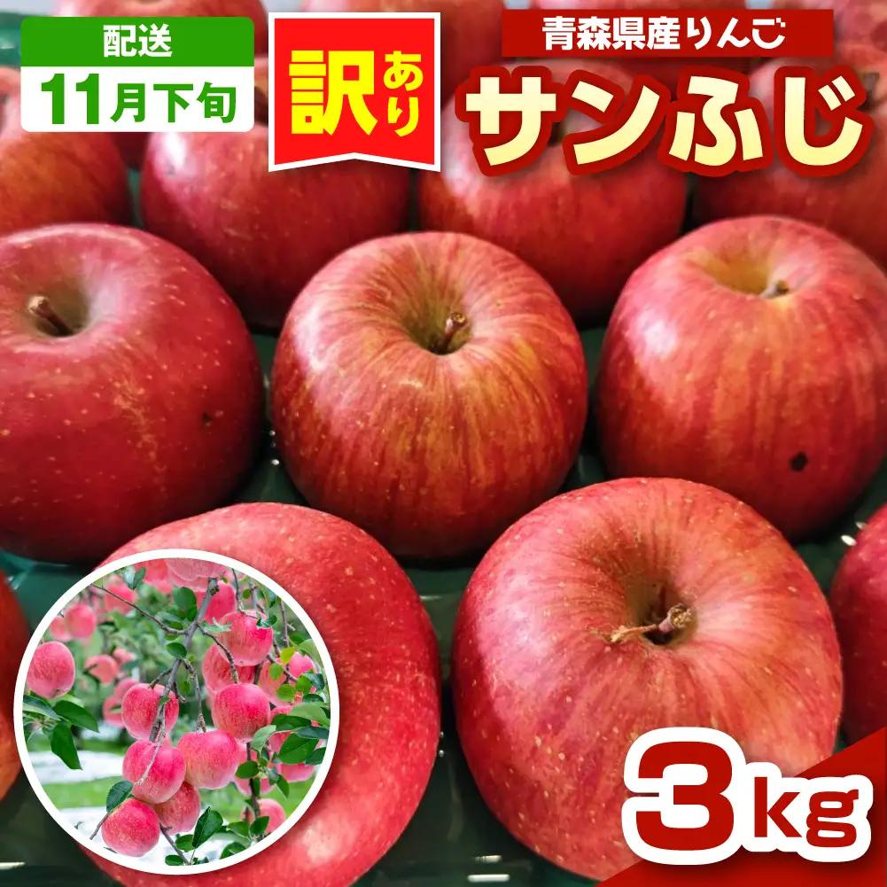 【2026年11月下旬発送】 青森りんご 約3kg サンふじ 《訳あり》 りんご