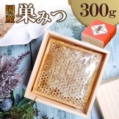 ふるさと納税 広川町 国産　巣みつ　300g(広川町)