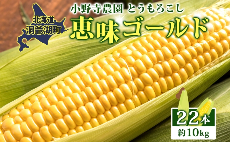 
            北海道 とうもろこし 恵味ゴールド 約10kg 22本入り 2025年8月11日～31日頃お届け トウモロコシ コーン 甘い 産地直送 BBQ とうきび 国産 人気 バーベキュー 焼きとうもろこし お取り寄せ 北海道産 洞爺湖町 
          