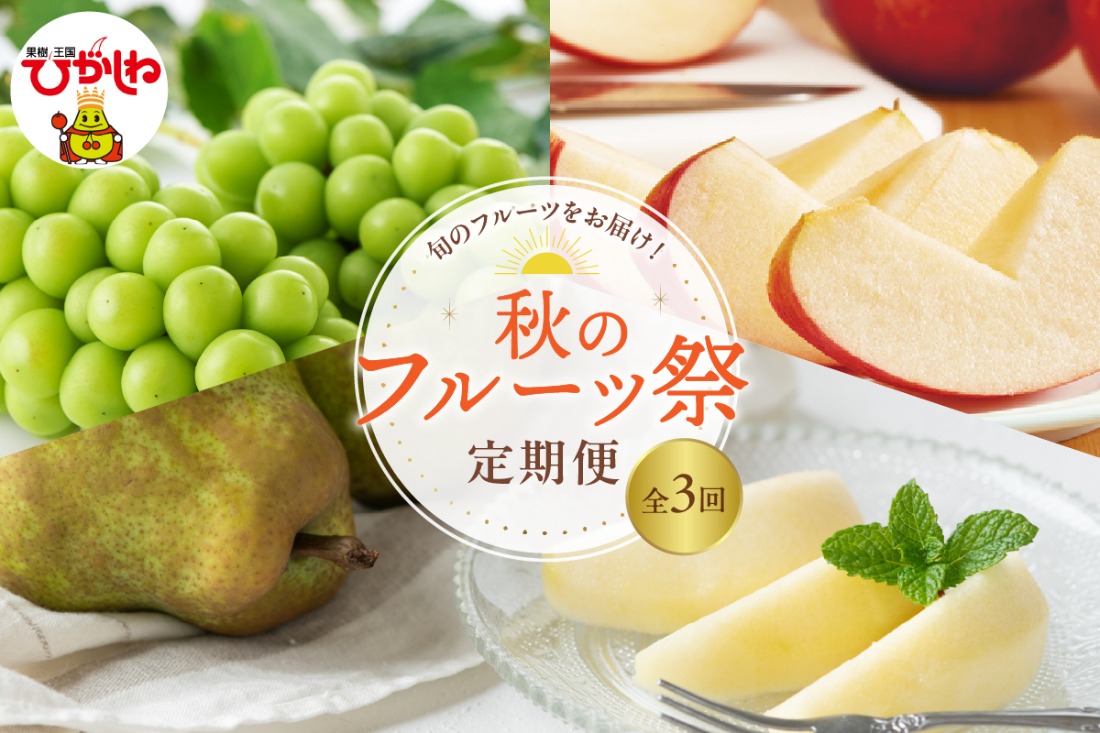 2025年産 秋のフルーツ祭定期便！全3回(2025.10月スタート) 山形県 東根市 hi026-043-2