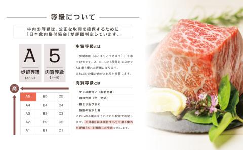 【鹿児島県産】A5 黒毛和牛 特撰赤身ブロック 400g