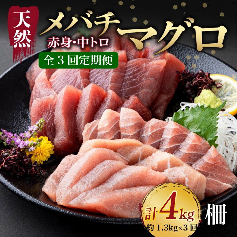 【ふるさと納税】 【3回定期便】 天然まぐろ 中トロ・赤身　柵 計1.3kg以上 サク さく メバチ 目鉢 マグロ 鮪 まぐろ 100% 冷凍 刺身 海鮮 丼 刺し身 小分け 高知 室戸 tk180