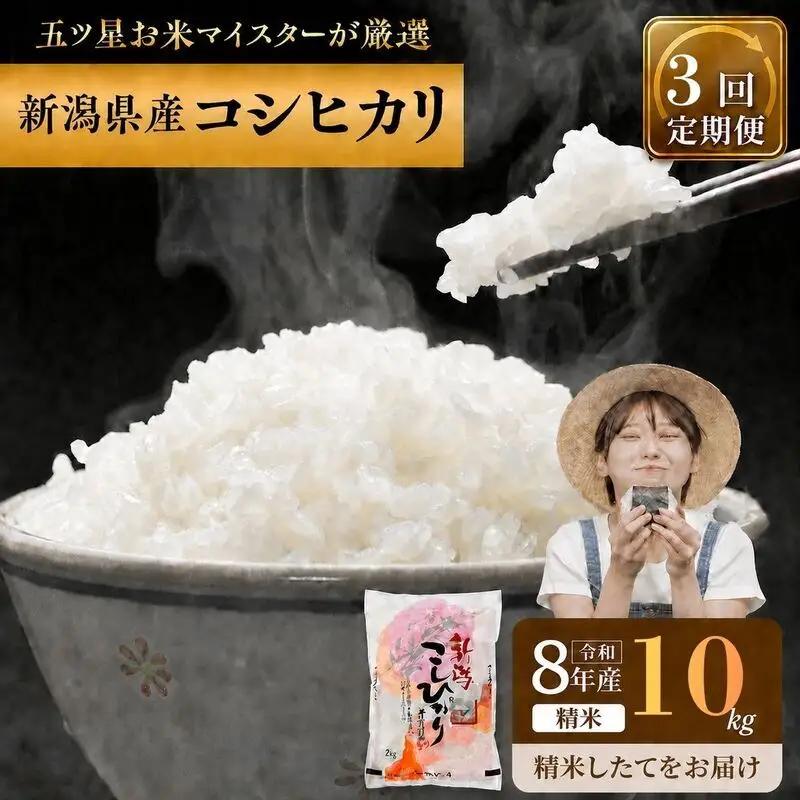 【先行予約】R8年産 新潟県産 コシヒカリ  10kg 3か月定期便 新潟県 新潟市産 令和8年産 お米 精米 米 ご飯 送料無料