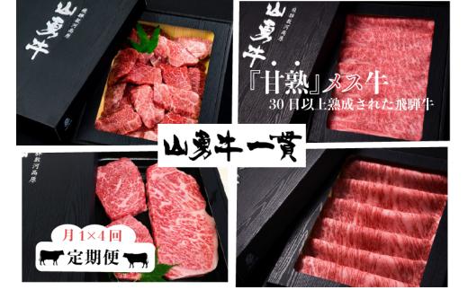 
《発送時期が選べる》飛騨牛 山勇牛 定期便 4回4か月 焼肉 ステーキ すき焼き しゃぶしゃぶ サーロイン 赤身ステーキ 頒布会 など
