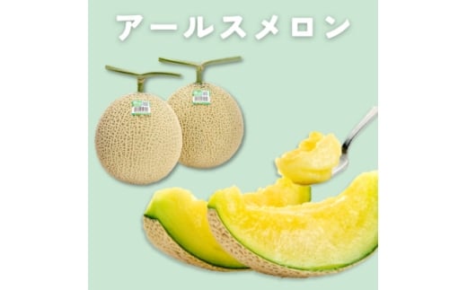 糖度13度以上!茨城県産 アールスメロン 2玉入り＜先行受付　2026年9月下旬以降順次発送＞【1686256】