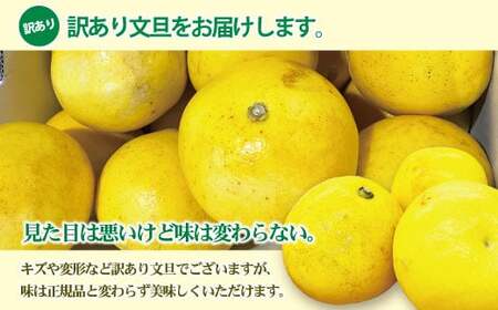 【先行予約】【訳あり】土佐文旦（ぶんたん）家庭用 約3kg（M〜5L） 高知県土佐市 【株式会社とさもん】 [BQAE043]