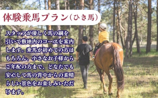 乗馬体験（ひき馬）1回分 北海道安平町 早来エクワインファーム