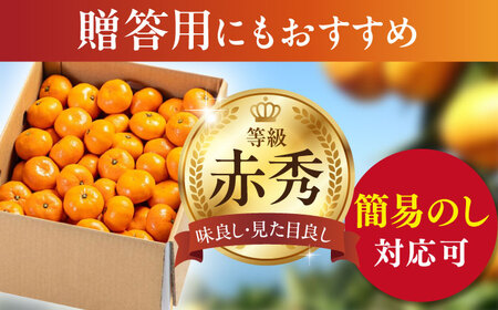 【先行予約】【12月上旬から順次発送】みかん 南柑20号 赤秀10kg（100玉から160玉）[AGAO007]みかんみかんみかんみかん
