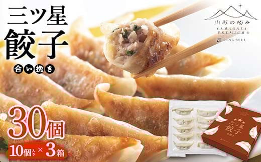 
            【山形の極み】合い挽き三ツ星餃子 210g（10個入り）×3箱 F2Y-5950
          