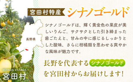 季節のりんご『 シナノゴールド 』（５ｋｇ）（予約制）（ シナノゴールド  林檎 ）
