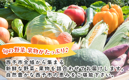 ＜西予市 旬の野菜・果物詰合せセット 月1回3か月（計3回配送）＞ 詰め合わせ つめあわせ セット 旬 青果 フルーツ くだもの やさい 果物セット 野菜セット 季節 産地直送 定期便 せいよ旬の野菜