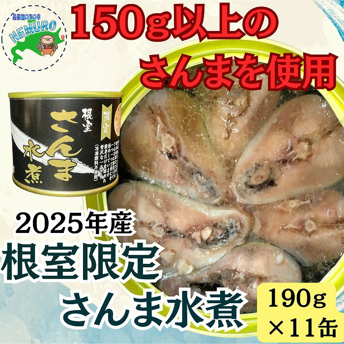 【ふるさと納税】 [北海道根室産]さんま水煮11缶 F-78012