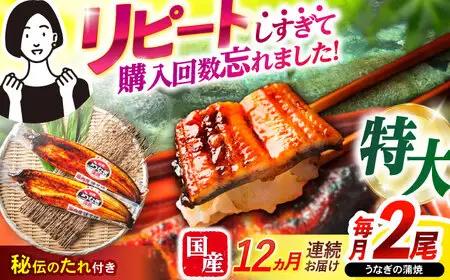 【12回定期便】【諫早淡水】特大うなぎ蒲焼2尾 / 特大 うなぎ ウナギ 鰻 国産うなぎ 国産鰻 蒲焼き 蒲焼 かばやき うな重 うな丼 / 諫早市 / 諫早淡水株式会社 [AHAT056] 30万 300000