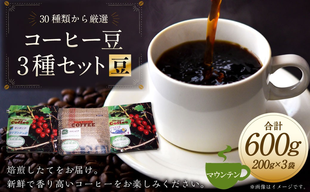 
                  コーヒー豆 3種類 セット 【豆】 （マウンテンセット） 珈琲 コーヒー マウンテン 厳選 岐阜県 美濃加茂市
                