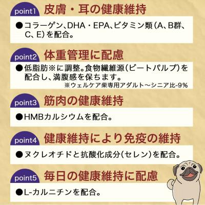ふるさと納税 都城市 ドッグフード(パグ専用)アダルト〜シニア5.5kg |  | 02