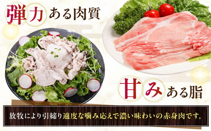 放牧豚ロース しゃぶしゃぶ 計1350g（150g×9）《厚真町》　【ファーマーズファクトリー株式会社】 [AXBA138]