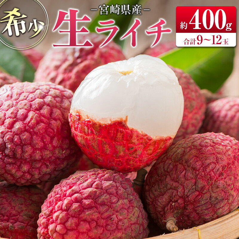 【ふるさと納税】◆希少！宮崎県産 生ライチ(合計約400g)