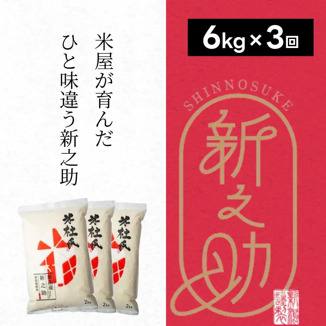 【令和7年産】3ヶ月定期便 特別栽培米 新之助 6kg (2kg×3袋)×3回 米杜氏 壱成  白米 精米 大粒 つや 光沢 弾力 芳醇 1H23067