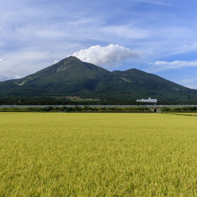 田舎もち 切り餅 400g×4袋_イメージ4