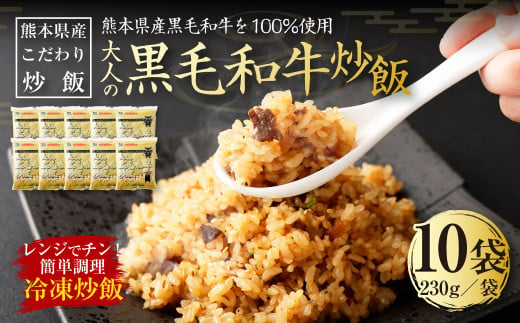 
熊本県産 こだわり炒飯 大人の黒毛和牛炒飯 230g×10袋 チャーハン 冷凍
