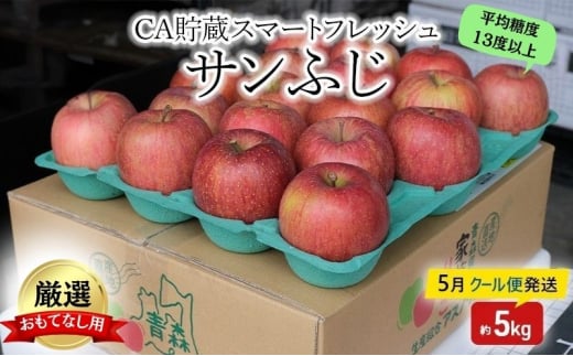 りんご 【5月クール便発送】平均糖度13度以上 おもてなし用 SF CA貯蔵 サンふじ 約 5kg 【 弘前市産 青森りんご 】 リンゴ 林檎 ふじ 果物 くだもの フルーツ 弘前 青森 