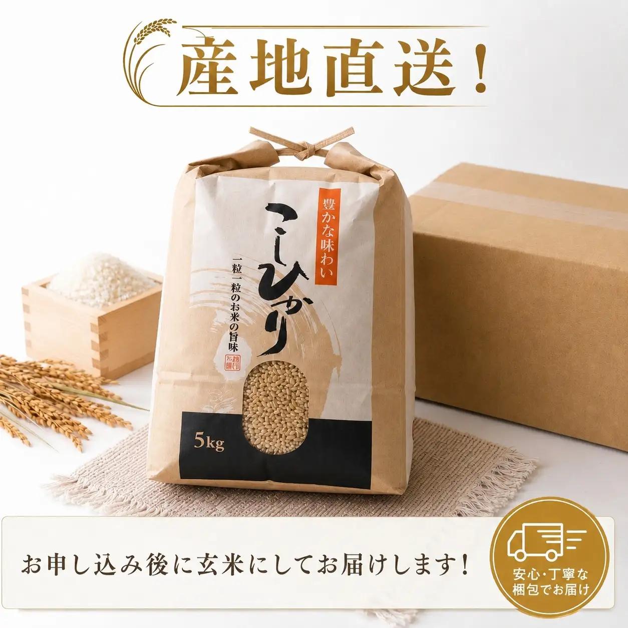 こしひかり 玄米 新米 5kg 2026年産［0940-3］