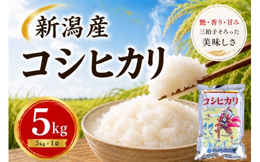 
                  【令和7年産】新潟産コシヒカリ 5kg ｜甘み・粘り・香りが自慢の新潟米
                