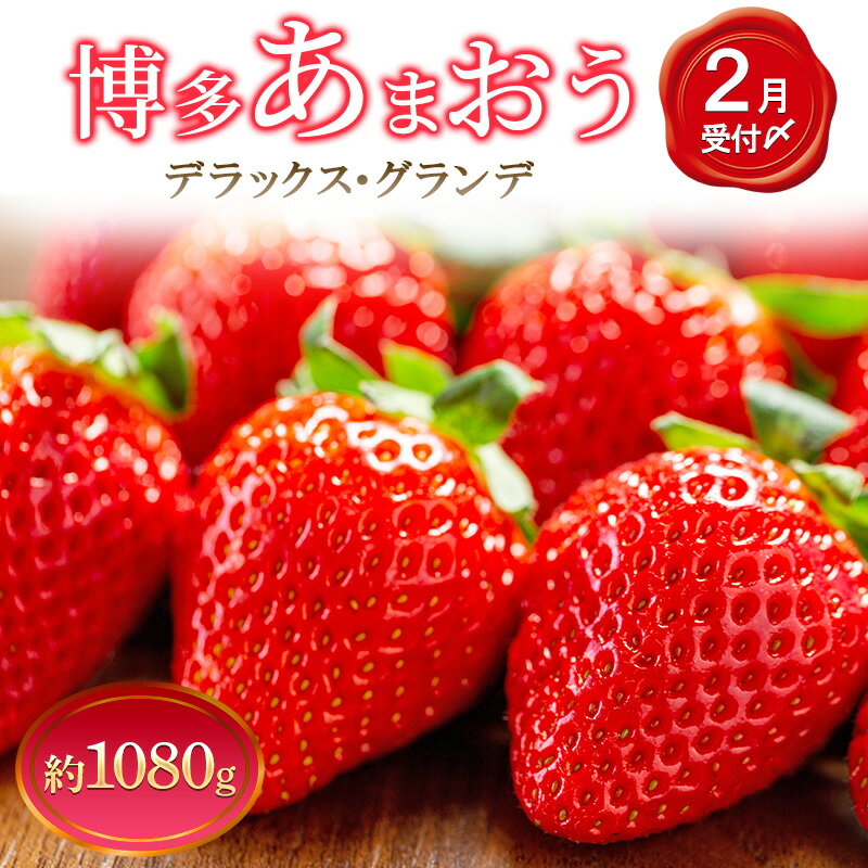 【ふるさと納税】いちご 4パック 博多あまおう デラックス グランデ セット 詰め合わせ おまおう 苺 イチゴ 果物 くだもの フルーツ 旬のフルーツ 季節のフルーツ 旬の果物 季節の果物 福岡 福岡県 大刀洗町 お申込：2026年2月10日迄　お届け：2026年2月16日～2月28日