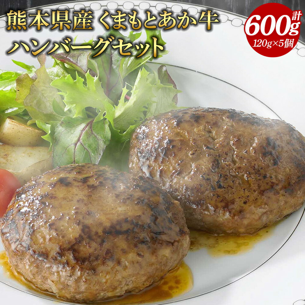 【ふるさと納税】熊本県産くまもとあか牛ハンバーグセット 120g×5個 合計600g 牛肉 和牛 赤牛 お肉 肉 惣菜 グルメ 国産 冷凍 熊本県 九州産 送料無料