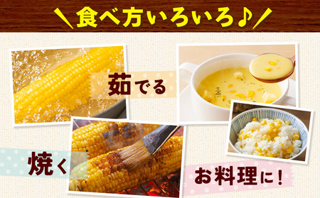とうもろこし黄白2種 4kg 野木町産 矢畑むらづくり組合 《6月下旬-7月下旬頃出荷》栃木県 野木町