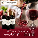 【ふるさと納税】限定 年ヴィンテージの限定品区画別メルロー 3本 セット メルロー 750ml 赤ワイン お酒 酒 アルコール 飲み比べセット ギフト 贈り物 プレゼント　 上田市 　お届け：30日以内に発送いたします