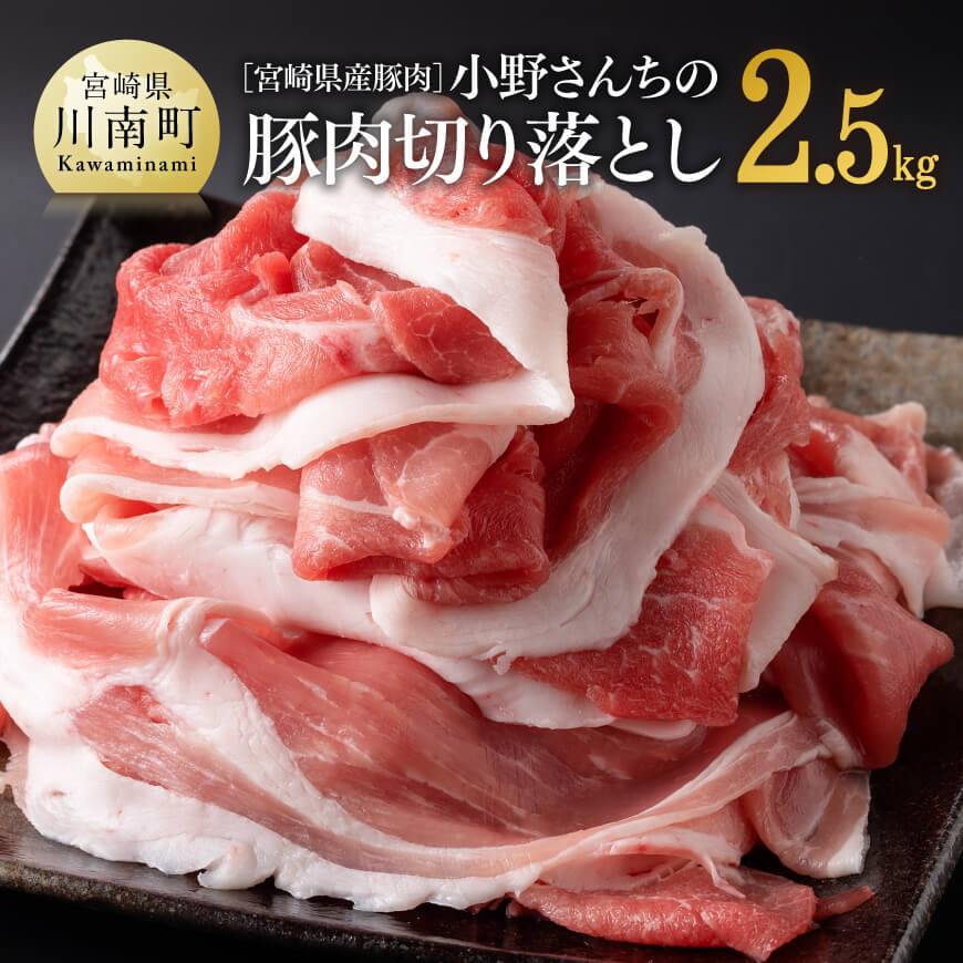 宮崎県産豚肉小野さんちの豚肉切り落とし2.5kg　豚肉[E10505]