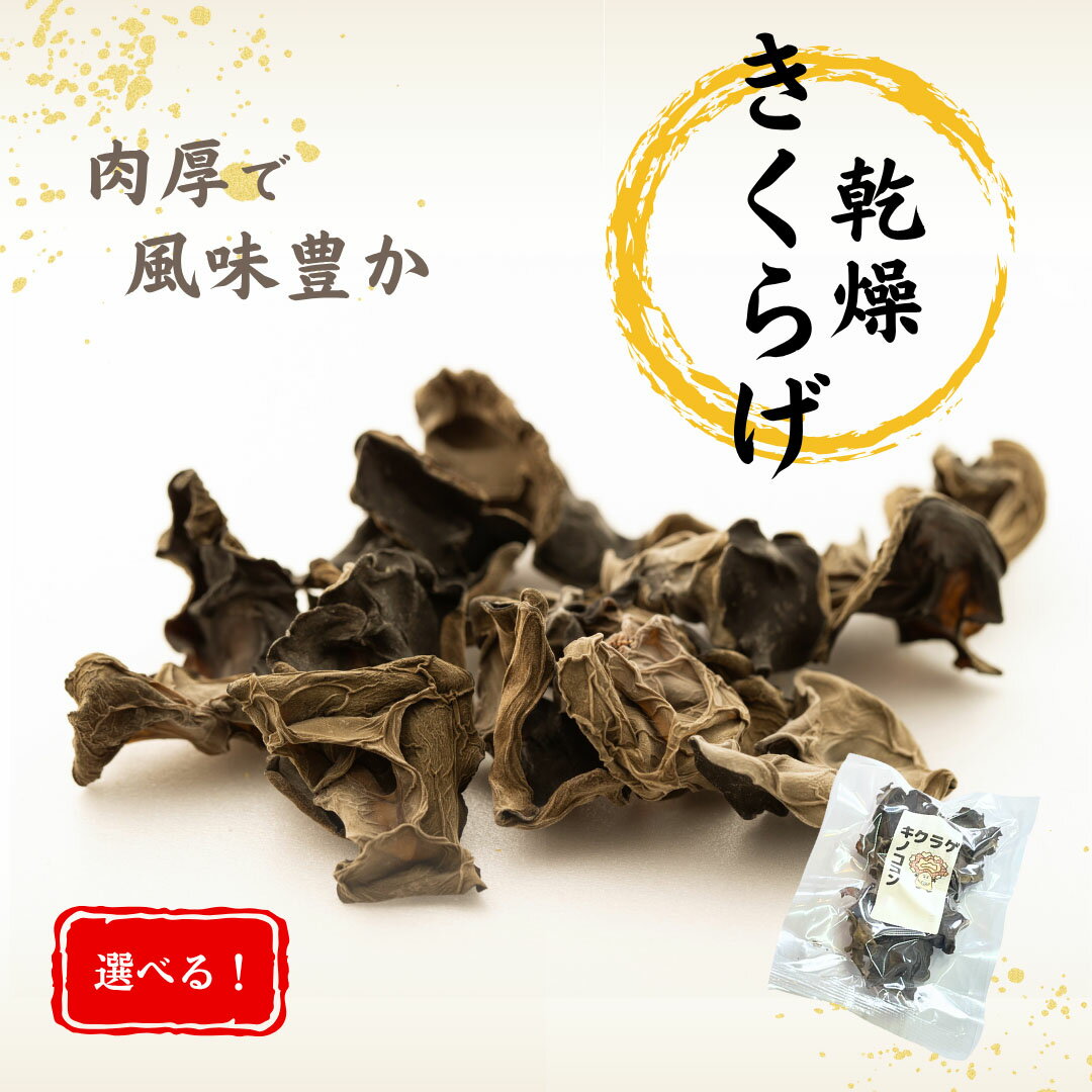 【ふるさと納税】 津久見産の肉厚乾燥きくらげ 選べる 3~5袋 (1袋15g)　|　津久見市 キクラゲ 木耳 きのこ キノコ 菌床 大分県産 国産 産地直送 送料無料 【創造工房】