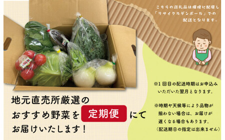 旬の野菜 詰め合わせ 6～7品以上 連続3か月【定期便】おまかせ セット 産地直送 新鮮