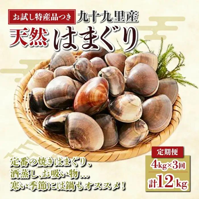 ＜定期便＞ 九十九里産 大粒 はまぐり4.0kg×3回 計12kg SHF004/ 絶品天然はまぐり 万能食材天然はまぐり 九十九里産天然はまぐり 蛤 ハマグリ海鮮 貝 貝類 