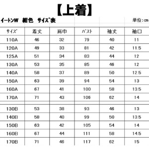 学生服 小学生 イートン＆冬スカート（タスキ付）2点セット 日本被服株式会社（ スクール制服 服 女子 女性 ウィメンズ ファッション 岡山県 倉敷産 返礼品 ） 160A サイズ