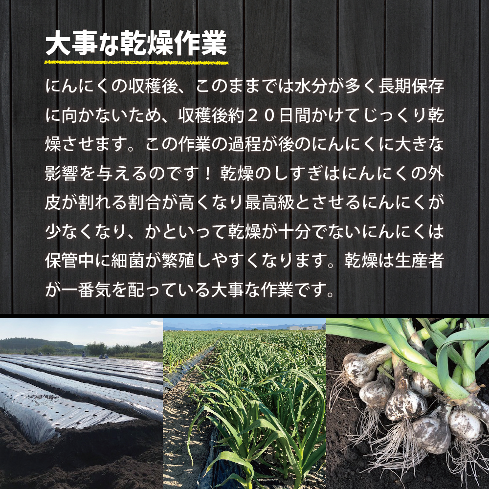 青森県産にんにく（上級品）Lサイズ1kg