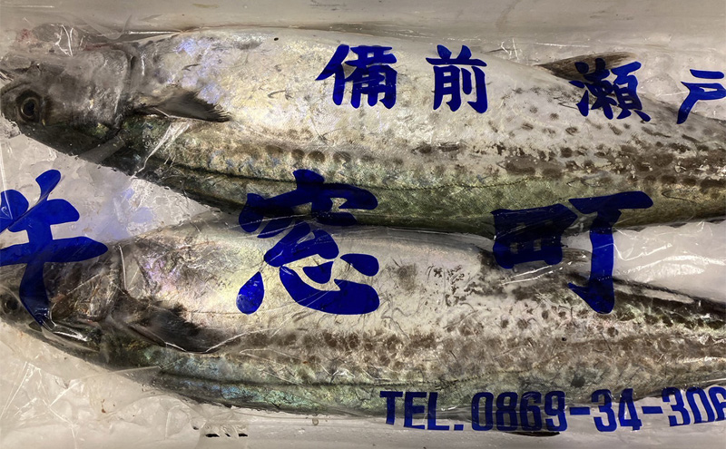 瀬戸内の魚でつくる 干物 6枚入りBOX