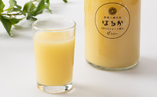 はるかジュース　720ml×12本【H56-77】【1668611】