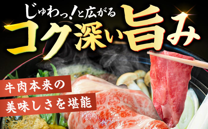 博多和牛 和牛 国産牛 牛肉 サーロイン