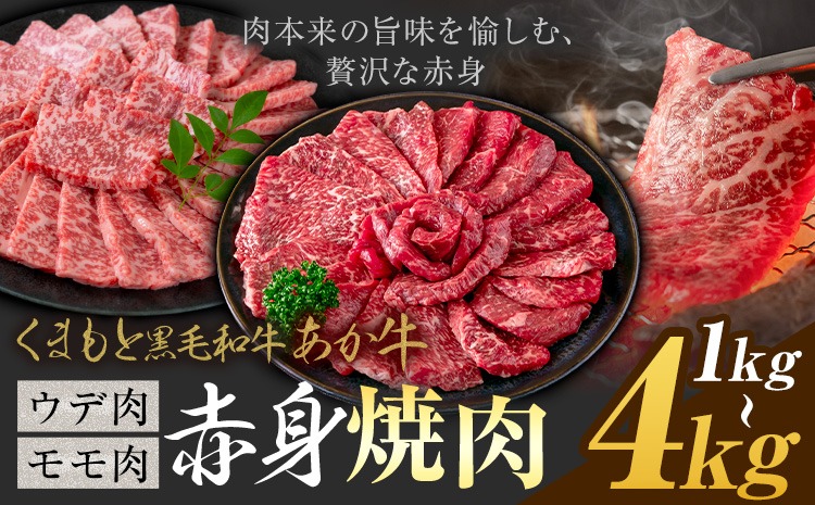 黒毛和牛 あか牛 赤身 ウデモモ 焼肉 1kg 2kg 4kg《30営業日以内に出荷予定(土日祝除く)》熊本県 氷川町 牛 牛肉 和牛 ブランド牛---hkw_26_lcl_415_1kg---