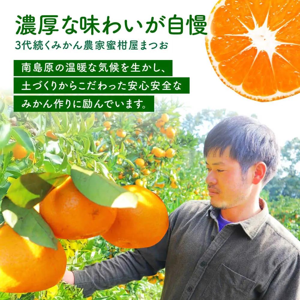 【先行予約】温州みかん 約10kg [SCQ002] みかん