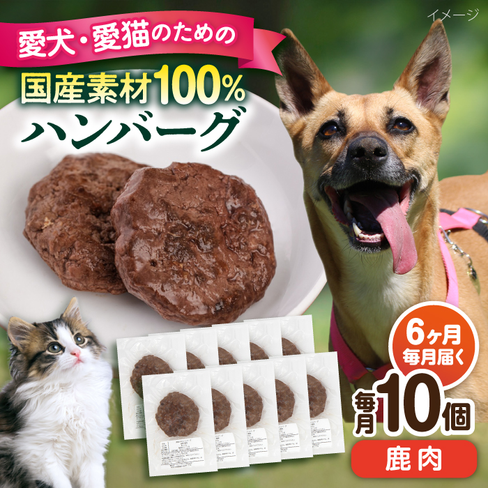 【全6回定期便】ペットフード 鹿肉 100%ハンバーグ 10個セット【ペットフード YMjapan】 [AKEX012]