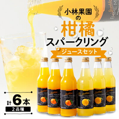 【ふるさと納税】小林果園の柑橘スパークリングジュースセット(2品種・計6本)【C24-28】_ 柑橘 みかんジュース ジュース 果物 飲料 フルーツ ふるーつ 飲み比べ セット 甘い ジューシー 産直 産地直送 旬 柑橘類 人気 愛媛 【1233619】