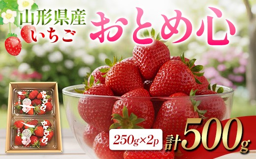 
                  【2027年先行予約】山形県産 いちご・おとめ心 250g×2P FSY-2844
                