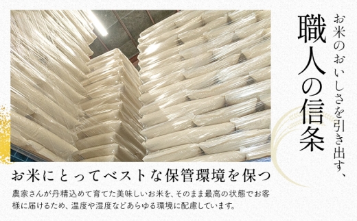 米  南関町 単一原料米 (ひのひかりorにこまるorくまさんの輝き) 無洗米 10kg《11月中旬-12月末頃出荷》熊本県産 国産 ひのひかり 無洗米 こめ コメ 10キロ