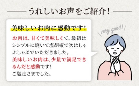 【日本一に輝いた和牛】長崎和牛 肩ロース（すき焼き用）計1kg（500g×2パック）＜大西海ファーム＞ [CCY018]